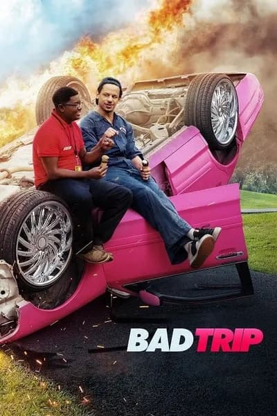 โปสเตอร์หนัง ทริปป่วนคู่อำ Bad Trip