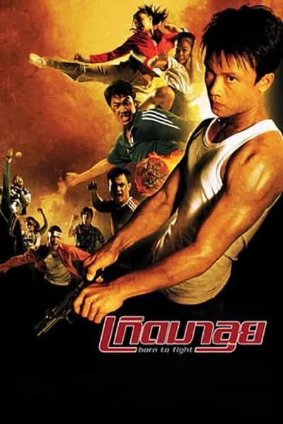 โปสเตอร์หนัง เกิดมาลุย Born to Fight