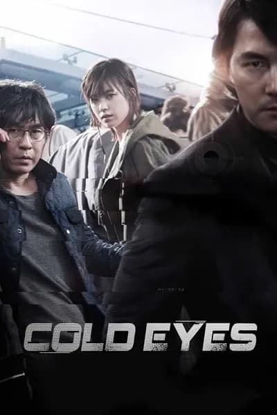 โปสเตอร์หนัง โคลด์ อายส์ Cold Eyes