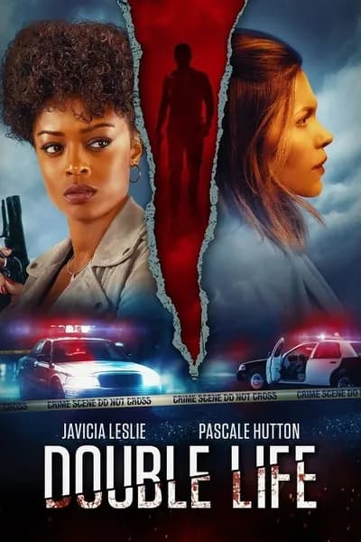 โปสเตอร์หนัง Double Life Double Life
