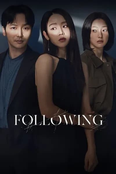 โปสเตอร์หนัง Following Following