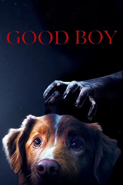 โปสเตอร์หนัง มะหมาเห็นผี Good Boy