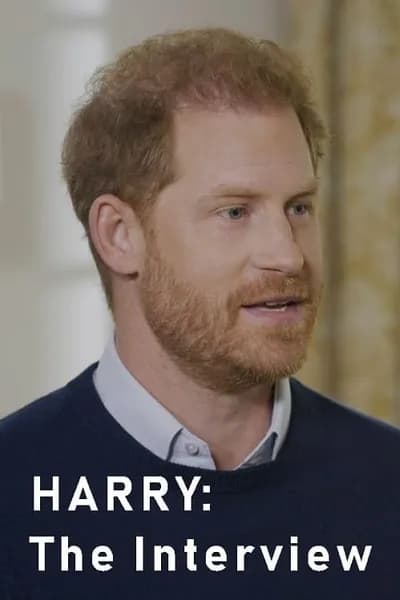 โปสเตอร์หนัง Harry The Interview Harry The Interview