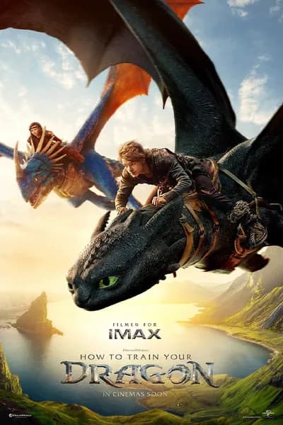 โปสเตอร์หนัง อภินิหารไวกิ้งพิชิตมังกร How to Train Your Dragon
