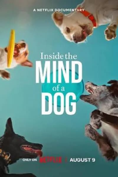 โปสเตอร์หนัง อ่านใจสุนัข Inside the Mind of a Dog