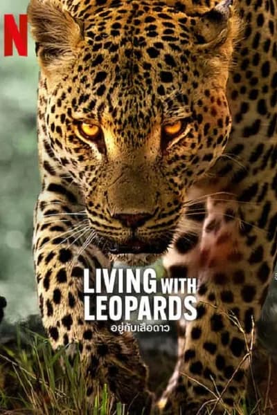 โปสเตอร์หนัง อยู่กับเสือดาว Living with Leopards