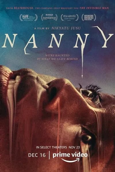 โปสเตอร์หนัง แนนนี่ Nanny