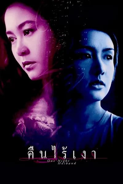 โปสเตอร์หนัง คืนไร้เงา One Night Husband