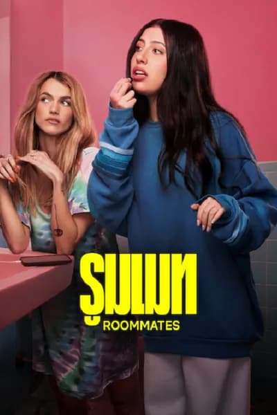 โปสเตอร์หนัง รูมเมท Roommates