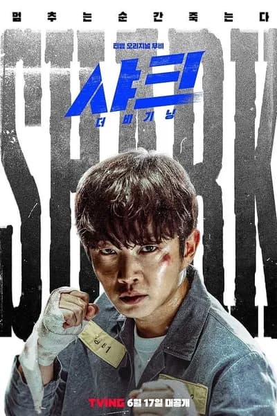 โปสเตอร์หนัง Shark The Beginning Shark The Beginning