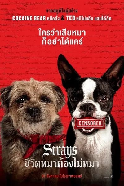 โปสเตอร์หนัง ชีวิตหมาต้องไม่หมา Strays