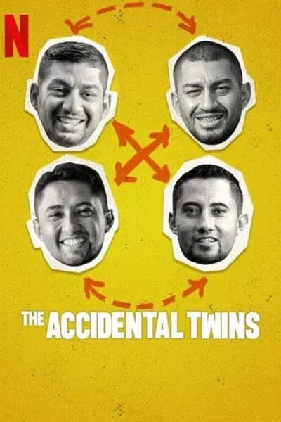 โปสเตอร์หนัง ฝาแฝดบังเอิญ The Accidental Twins