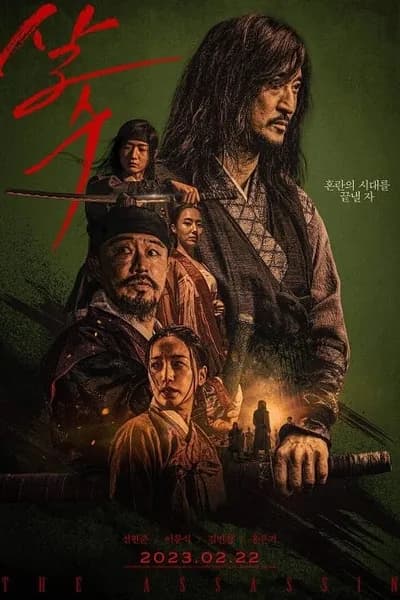 โปสเตอร์หนัง The Assassin The Assassin