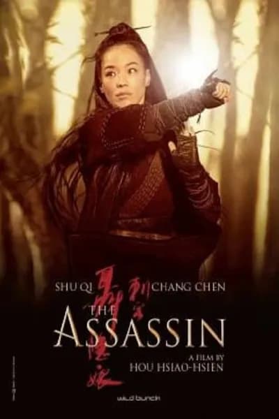 โปสเตอร์หนัง ประกาศิต หงษ์สังหาร The Assassin
