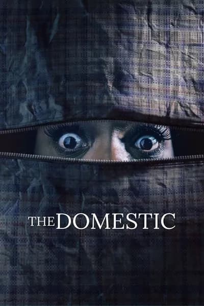 โปสเตอร์หนัง The Domestic The Domestic