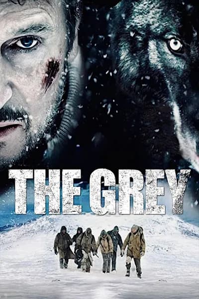 โปสเตอร์หนัง ฝ่าฝูงเขี้ยวสยองโลก The Grey