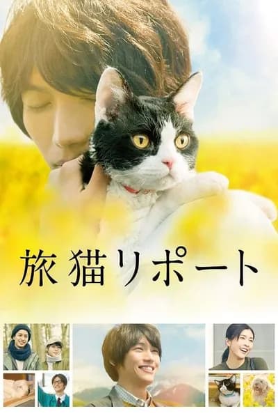 โปสเตอร์หนัง ผม แมว และการเดินทางของเรา The Travelling Cat Chronicles