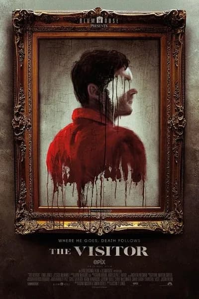 โปสเตอร์หนัง The Visitor The Visitor