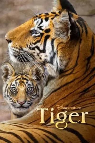 โปสเตอร์หนัง Tiger Tiger