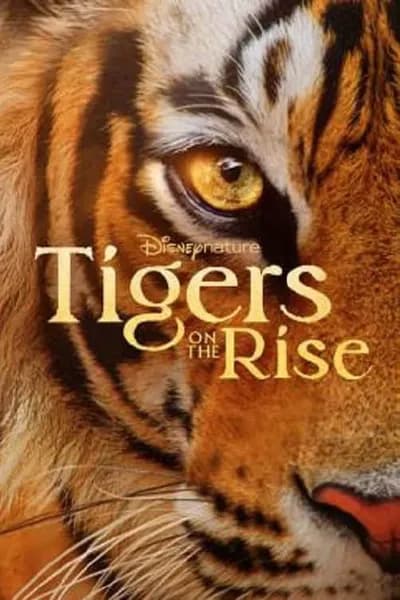 โปสเตอร์หนัง Tigers on the Rise Tigers on the Rise