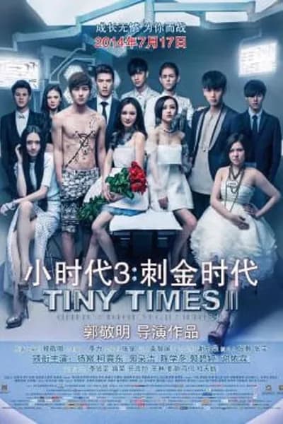 โปสเตอร์หนัง Tiny Times 3 Tiny Times 3