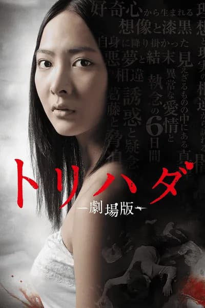 โปสเตอร์หนัง Torihada The Movie Torihada The Movie