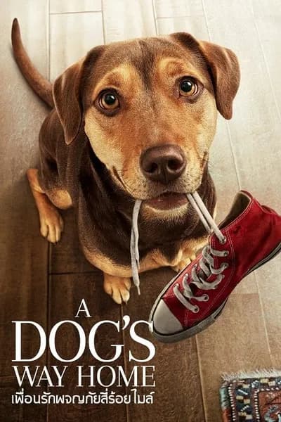 โปสเตอร์หนัง เพื่อนรักผจญภัยสี่ร้อยไมล์ A Dog’s Way Home