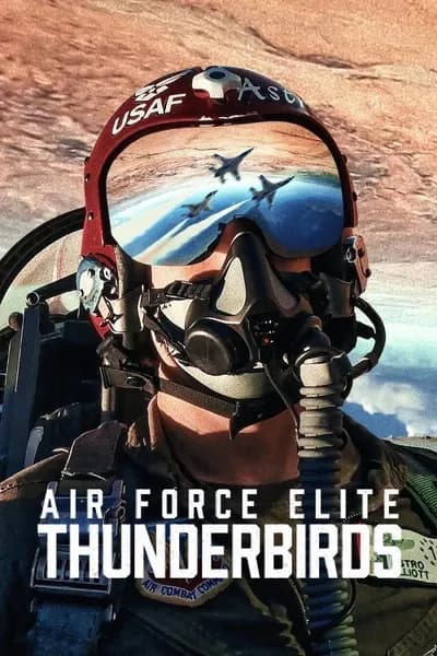 โปสเตอร์หนัง ฝูงบินผาดแผลง ธันเดอร์เบิร์ด Air Force Elite Thunderbirds