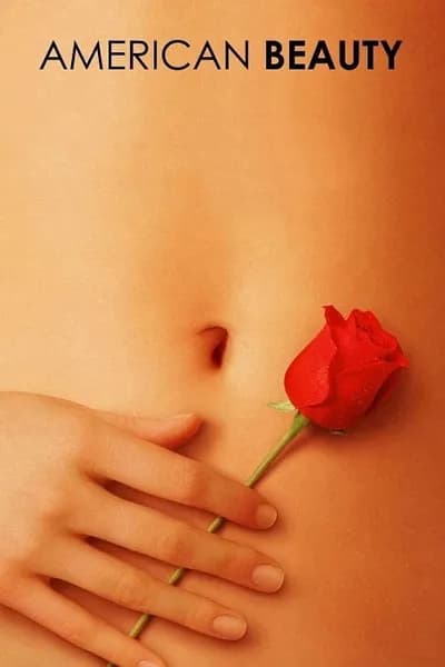 โปสเตอร์หนัง อเมริกัน บิวตี้ American Beauty