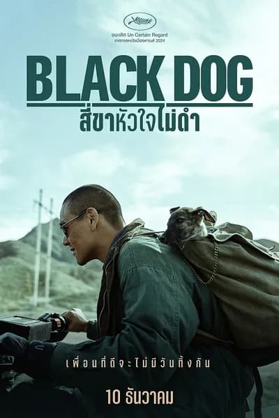 โปสเตอร์หนัง สี่ขาหัวใจไม่ดำ Black Dog