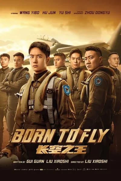 โปสเตอร์หนัง ปฏิบัติการจ้าวเวหา Born to Fly