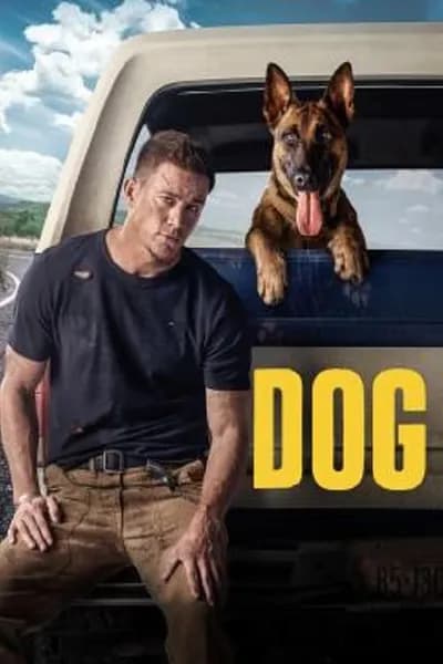 โปสเตอร์หนัง เพื่อนกันพันธ์ห้าว DOG
