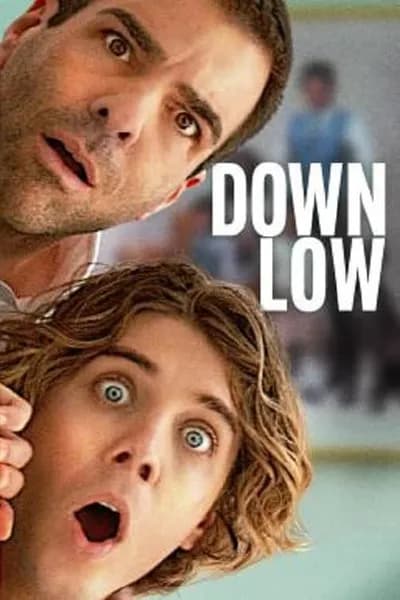 โปสเตอร์หนัง Down Low Down Low