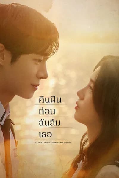 โปสเตอร์หนัง คืนฝันก่อนฉันลืมเธอ Even if This Love Disappears from the World Tonight