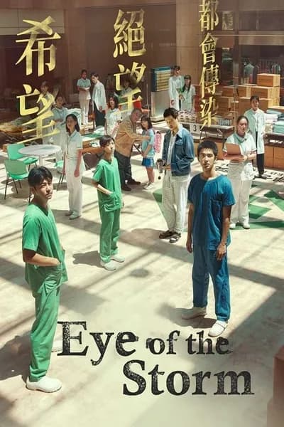 โปสเตอร์หนัง Eye of the Storm Eye of the Storm