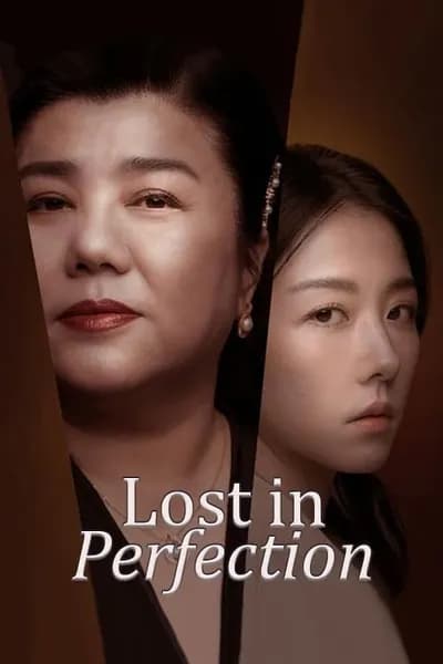 โปสเตอร์หนัง กับดักรักอำพราง Lost in Perfection