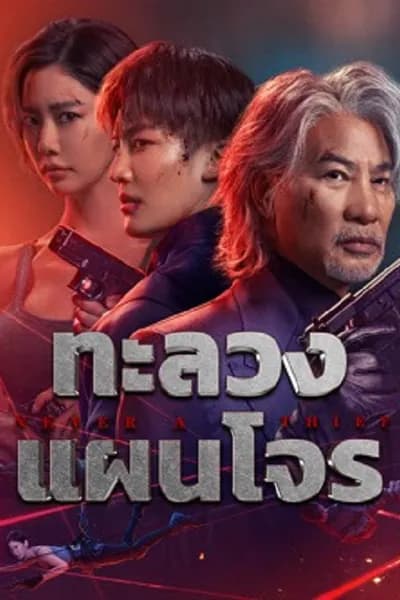 โปสเตอร์หนัง ทะลวงแผนโจร Never a Thief