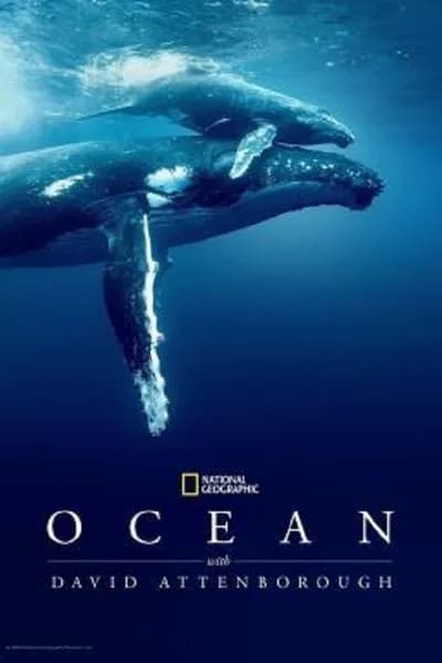 โปสเตอร์หนัง Ocean with David Attenborough Ocean with David Attenborough