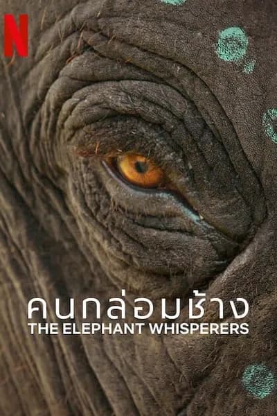 โปสเตอร์หนัง คนกล่อมช้าง The Elephant Whisperers