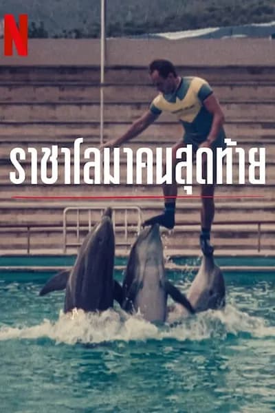 โปสเตอร์หนัง ราชาโลมาคนสุดท้าย The Last Dolphin King