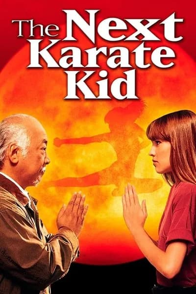 โปสเตอร์หนัง The Next Karate Kid The Next Karate Kid