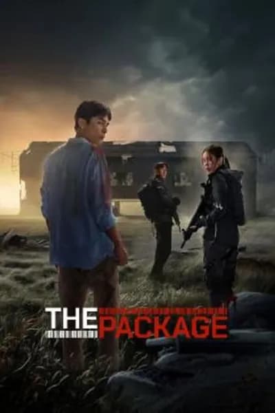 โปสเตอร์หนัง พัสดุฝ่าแดนมรณะ The Package