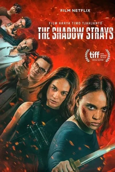 โปสเตอร์หนัง นักฆ่าเงาล่าทรชน The Shadow Strays