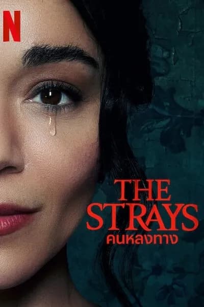 โปสเตอร์หนัง คนหลงทาง The Strays