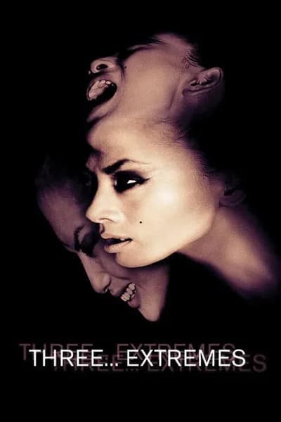 โปสเตอร์หนัง อารมณ์ อาถรรพ์ อาฆาต Three Extremes