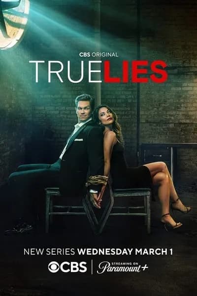 โปสเตอร์หนัง True Lies True Lies