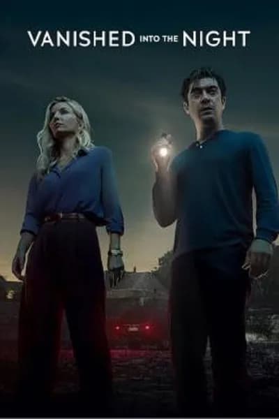 โปสเตอร์หนัง ค่ำคืนกลืนหาย Vanished into the Night