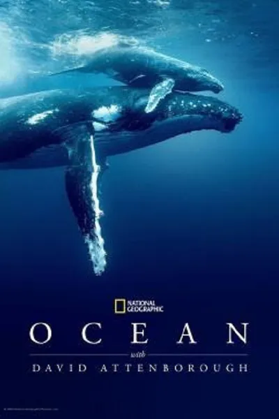 โปสเตอร์หนัง Ocean with David Attenborough Ocean with David Attenborough