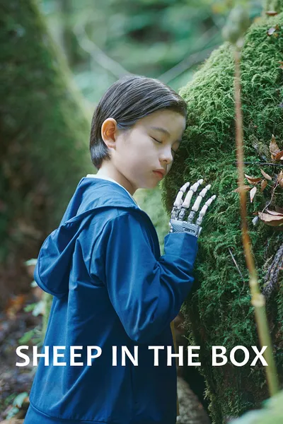 โปสเตอร์หนัง Sheep in the Box (2026)