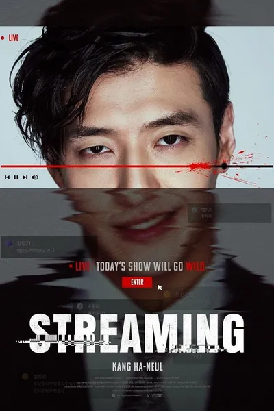 โปสเตอร์หนัง Streaming Streaming